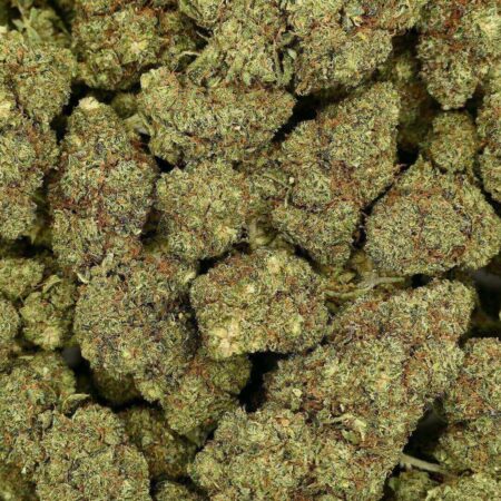 CALI SUNSET - FLEUR - HYDRO