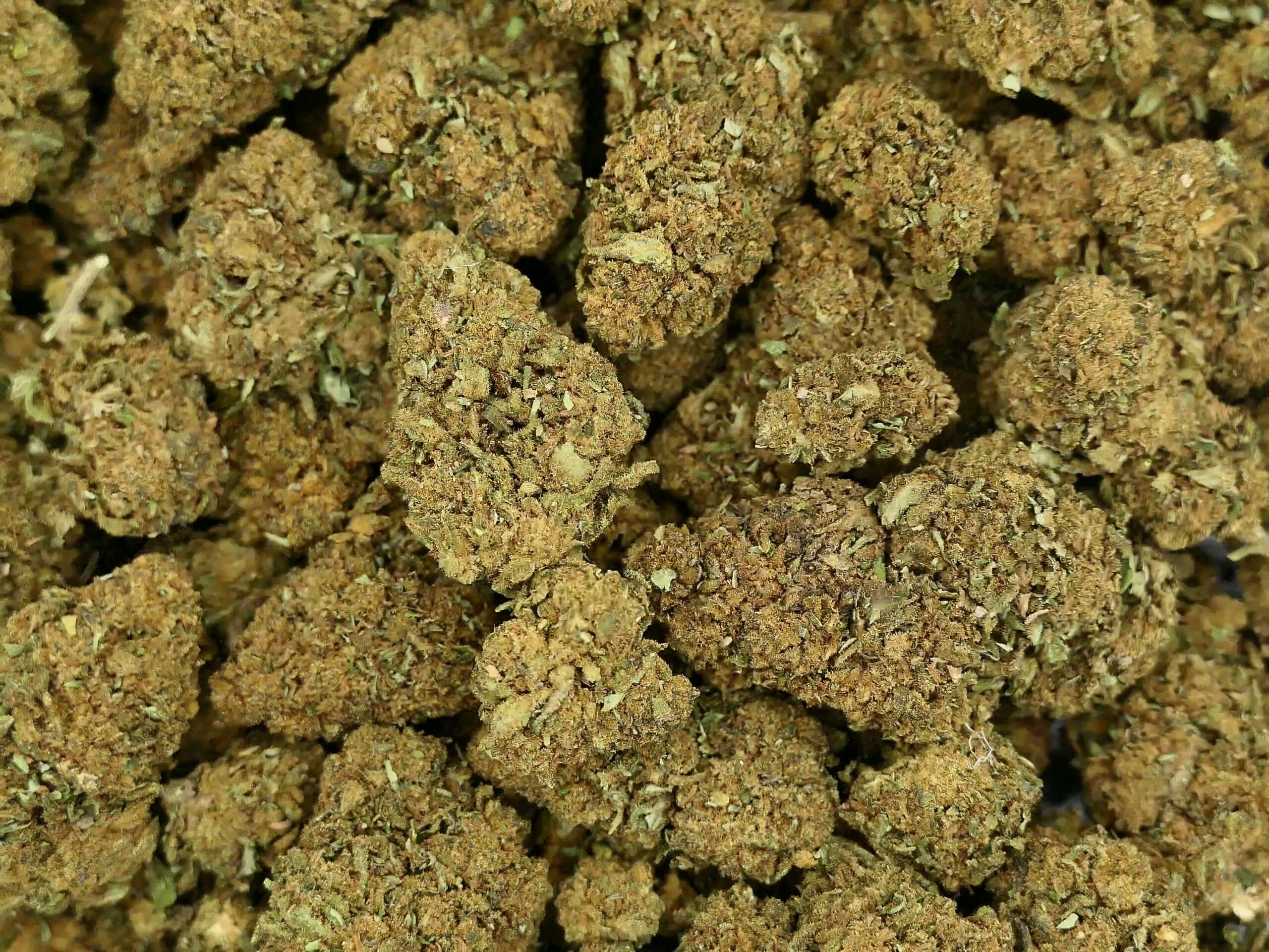 SUPER ROYAL HAZE FLEIR DE CBD