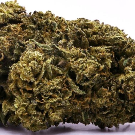 WHITE RHINO FLEUR DE CBD