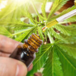 dosagem de óleo cbd