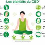 les bienfaits du CBD