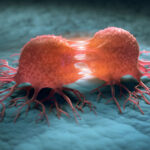 cellules, très certainement cancereuses