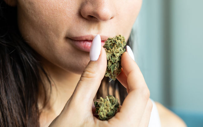 femmes qui sent les terpènes de la fleur de CBD