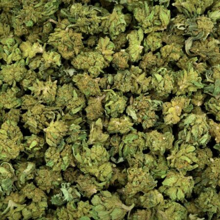 SMALL BUD EMERALD JACK FLEUR DE CBD