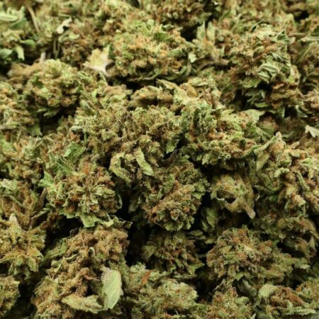 SB COSMIC COOKIES - FLEUR CBD