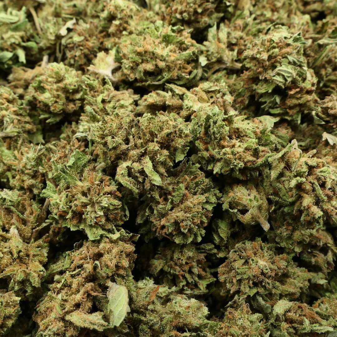 SB COSMIC COOKIES - FLEUR CBD