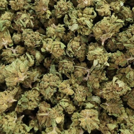 SMALL BUD EXTRA FLEUR DE CBD