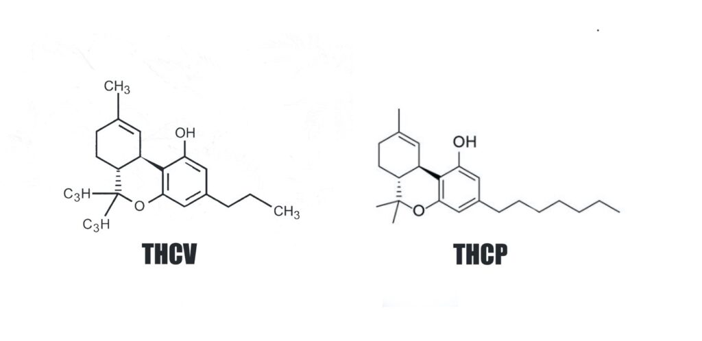 THCV THCP molécules