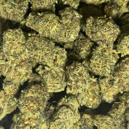 Venom OG fleurs H4CBD