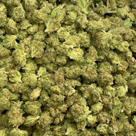 ACAPULCO SMALL BUD CBD