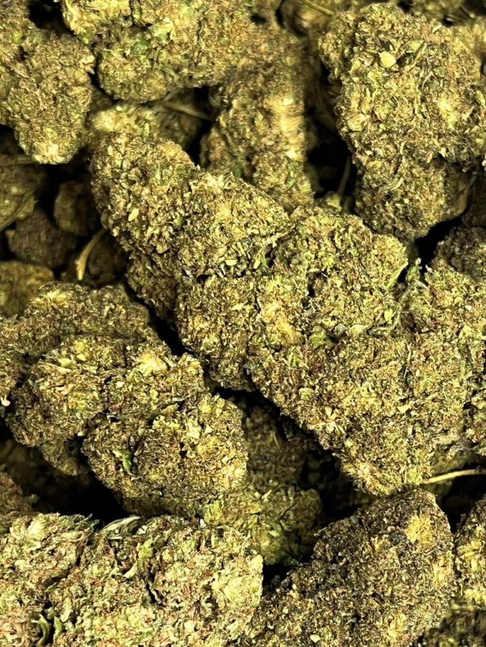 Galactic glue fleurs hhcpo