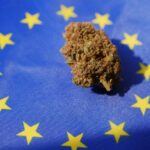 Loi europe néo cannabinoide cbd