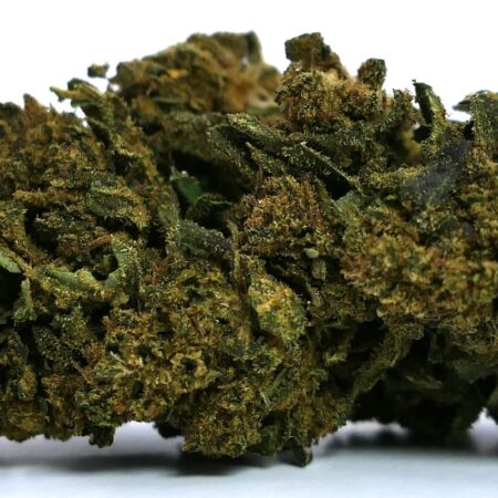 G13 HAZE FLEUR DE CBD