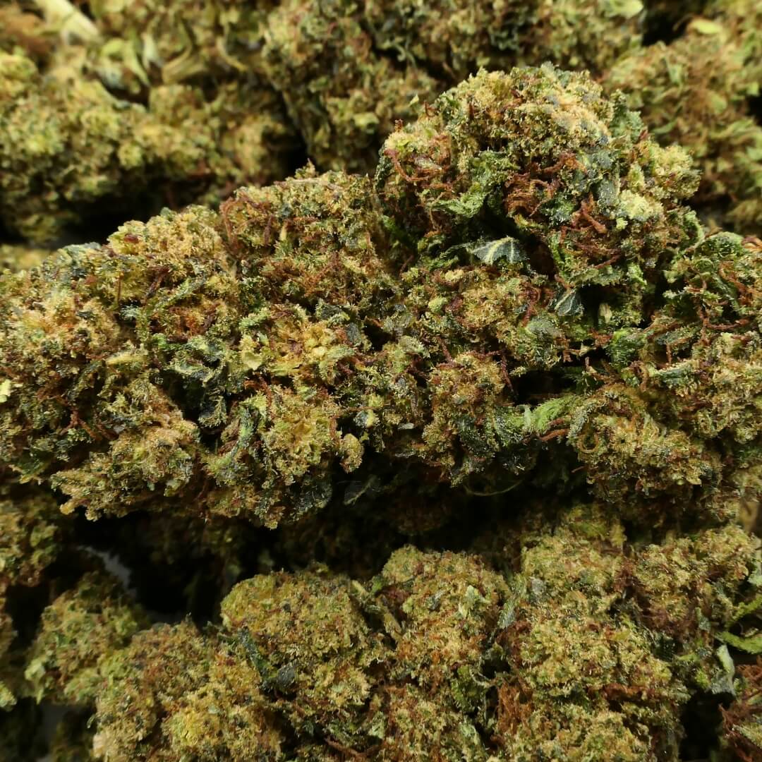 og god father - fleur - 10 oh