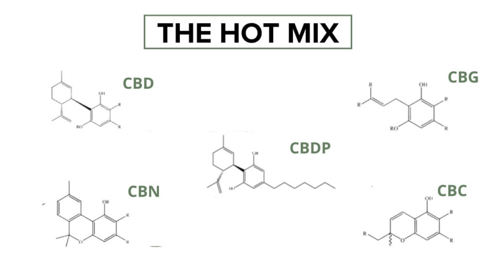 Liste des cannabinoide présent dans le THM et les molécules associées