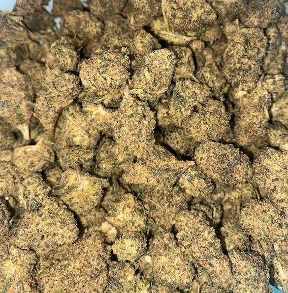 space bomb fleur thm