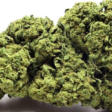 BUBBLEGUM FLEUR DE CBD