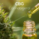 uma flor de cbg e uma pipeta de óleo com a fórmula e o nome canabigerol